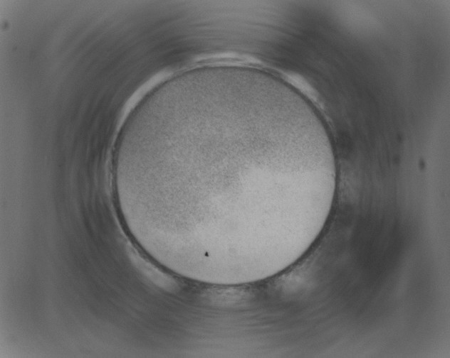 X0000081291474200702012232