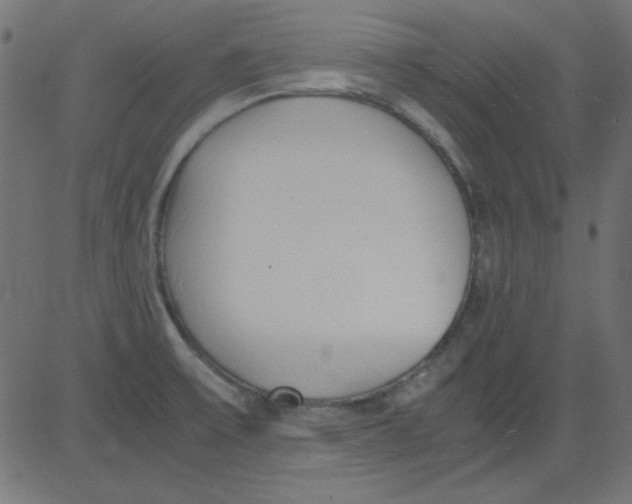 X0000081291475200702012232