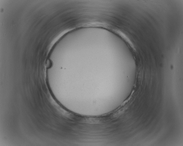 X0000081291476200702012232