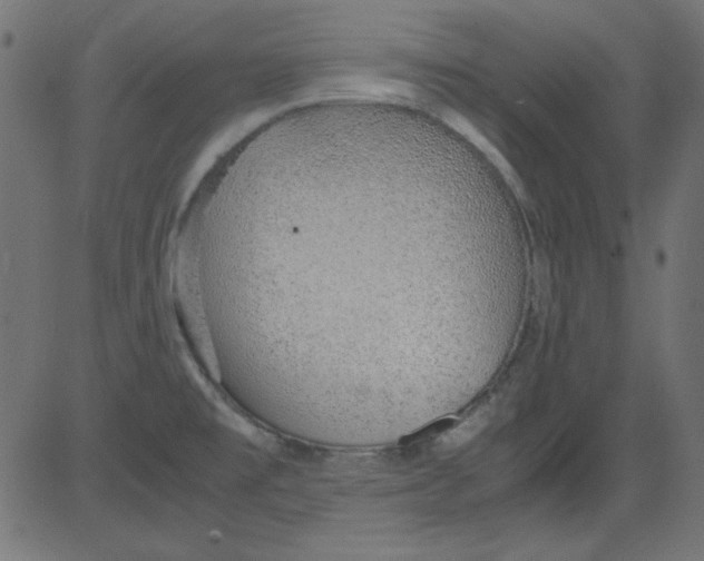 X0000081291477200702012232