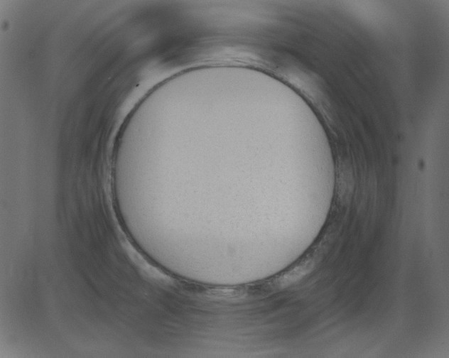 X0000081291478200702012232