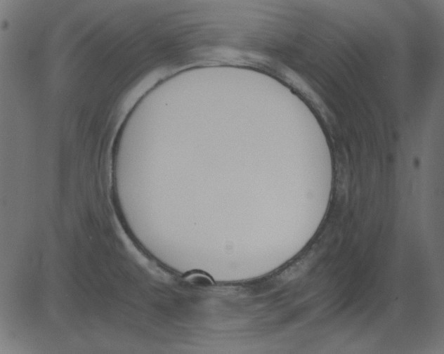 X0000081291479200702012232