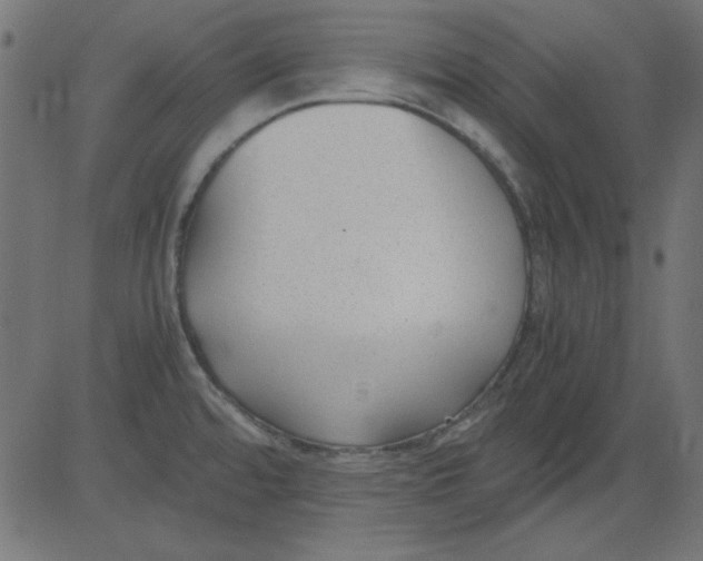 X0000081291480200702012232