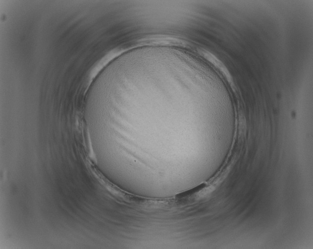 X0000081291481200702012232