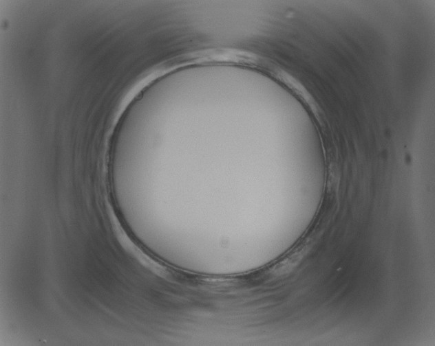 X0000081291483200702012232