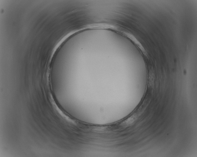 X0000081291484200702012232