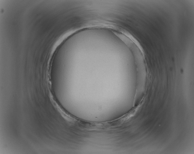 X0000081291485200702012232