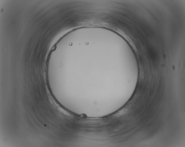 X0000081291486200702012232