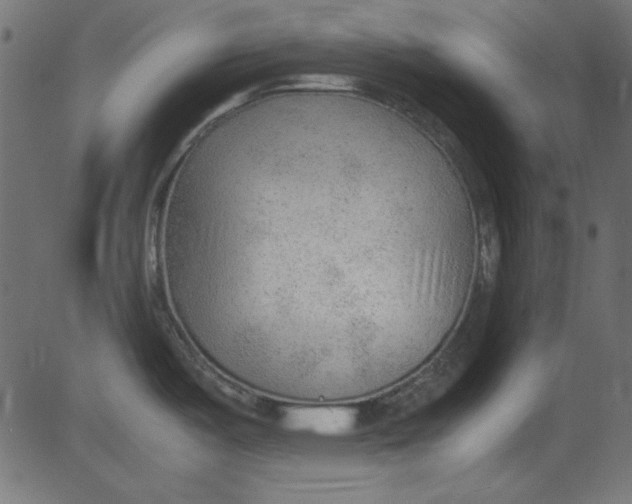 X0000081291487200702012232