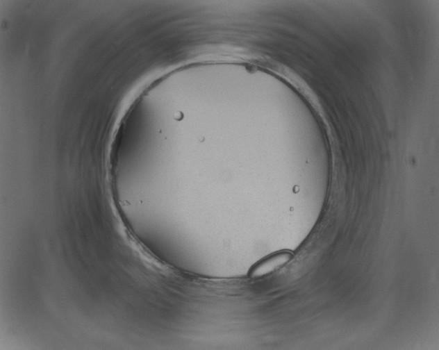 X0000081291488200702012232