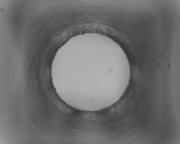 X0000081291489200702012231