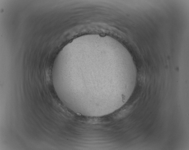 X0000081291490200702012231