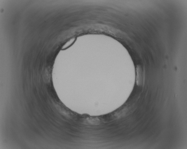 X0000081291491200702012231