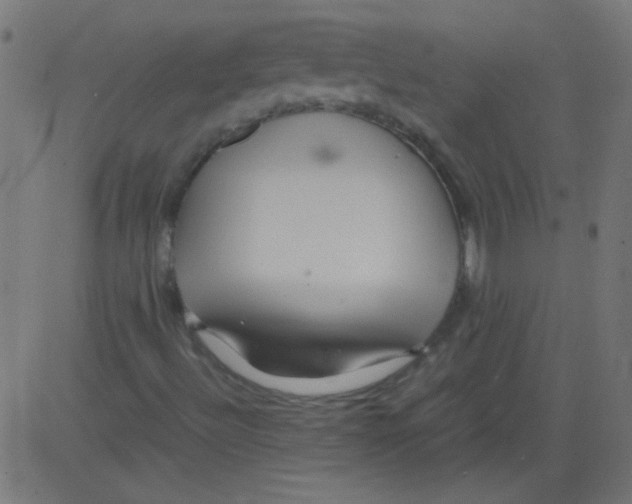 X0000081291492200702012231