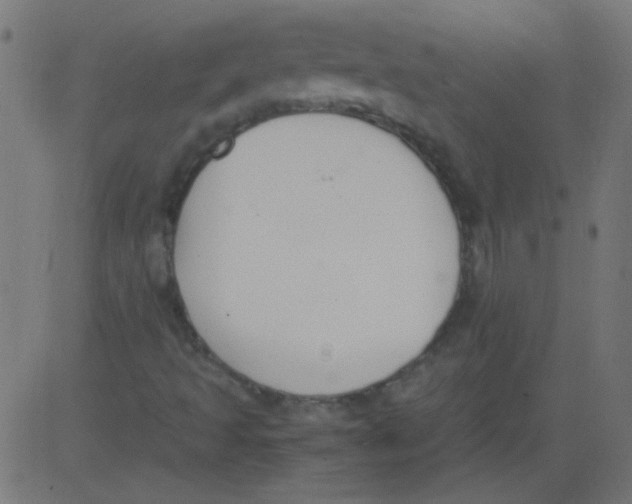 X0000081291493200702012231