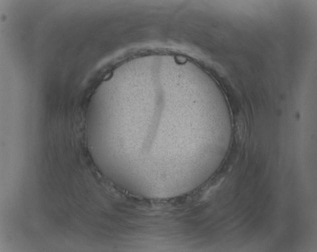 X0000081291494200702012231