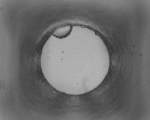 X0000081291495200702012231