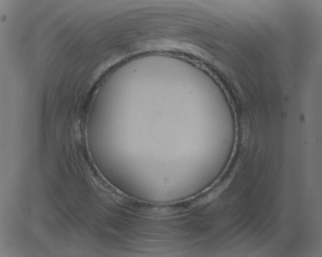 X0000081291497200702012231