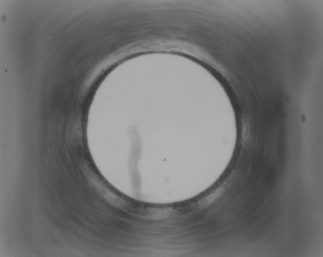 X0000081291498200702012231