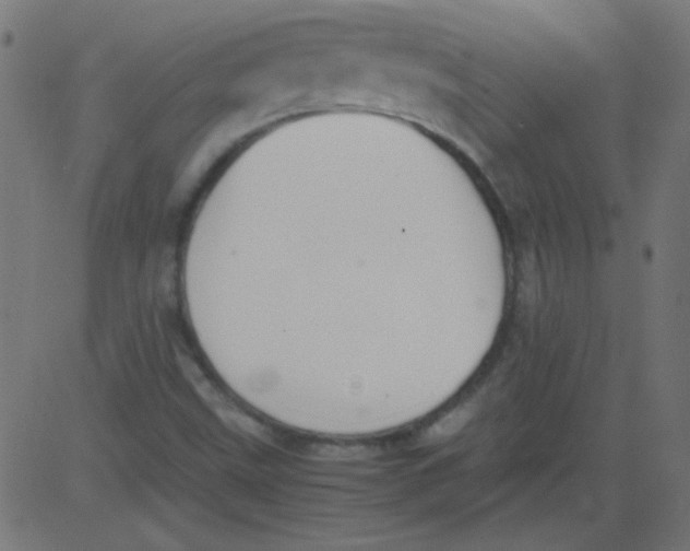 X0000081291499200702012231