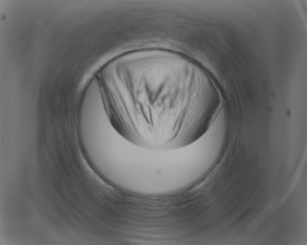 X0000081291500200702012231