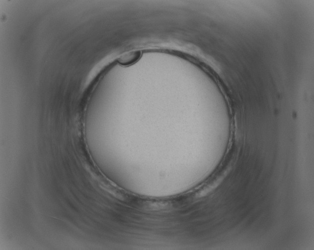 X0000081291501200702012231