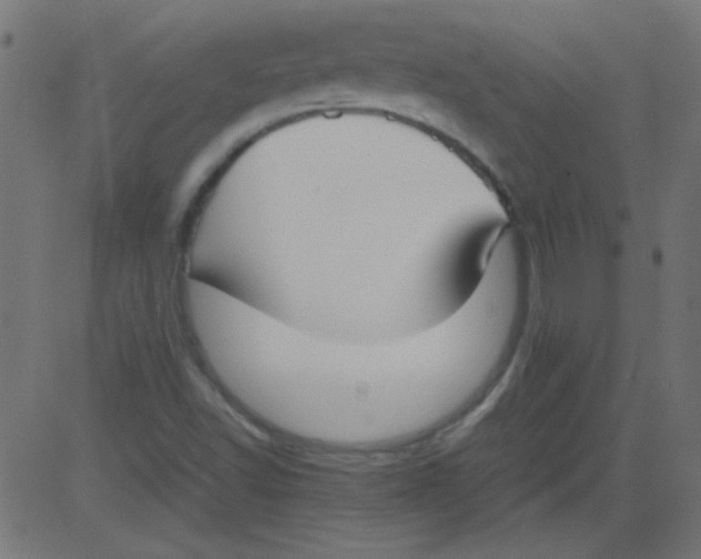 X0000081291502200702012231