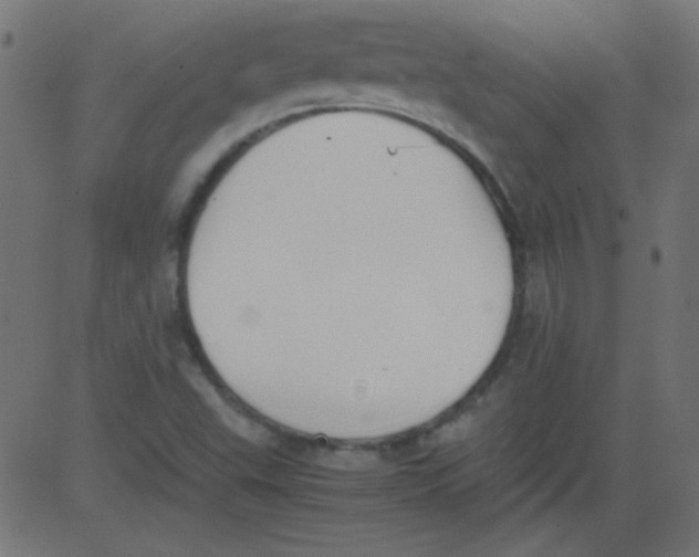 X0000081291503200702012231