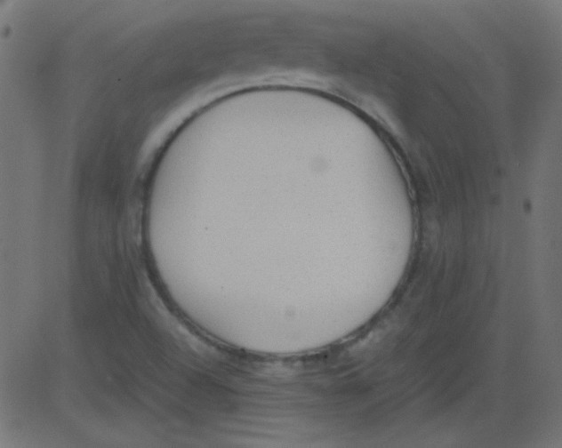 X0000081291504200702012231