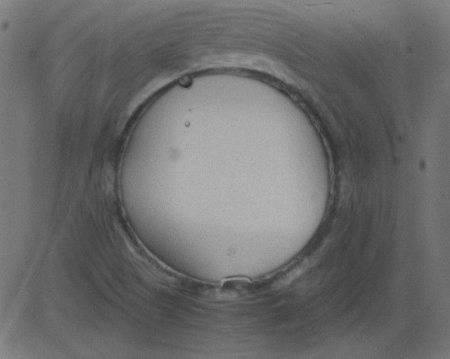 X0000081291505200702012231