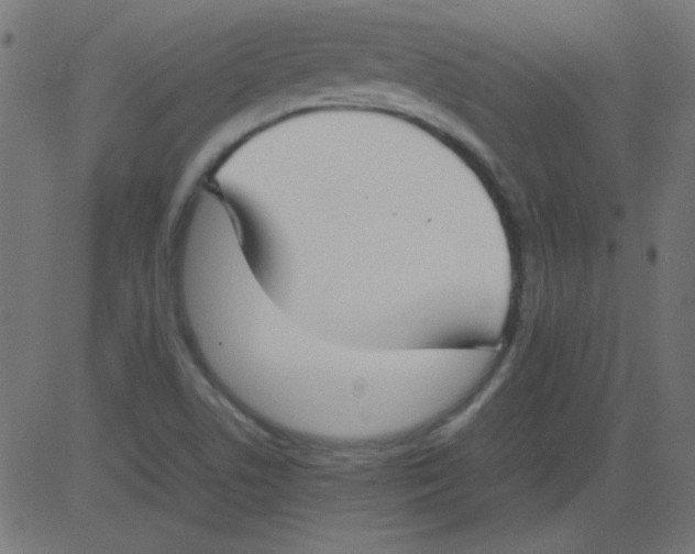 X0000081291506200702012231