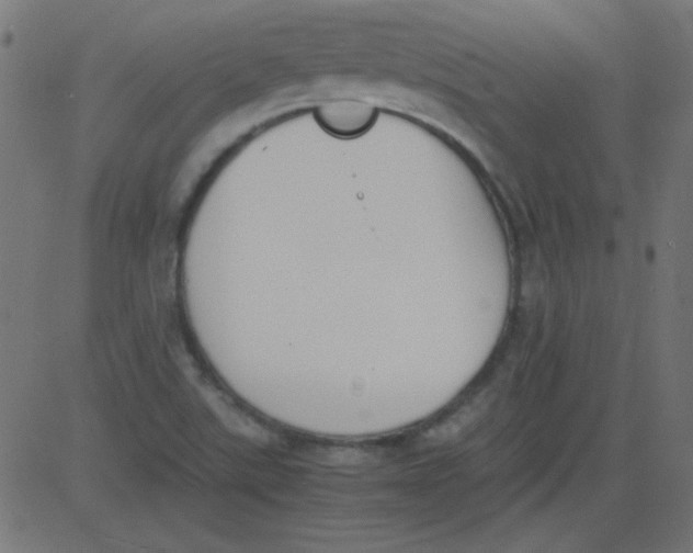 X0000081291507200702012231