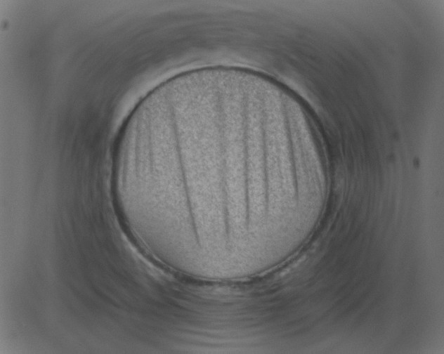 X0000081291508200702012231