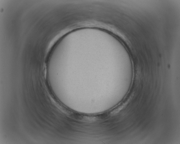 X0000081291509200702012231