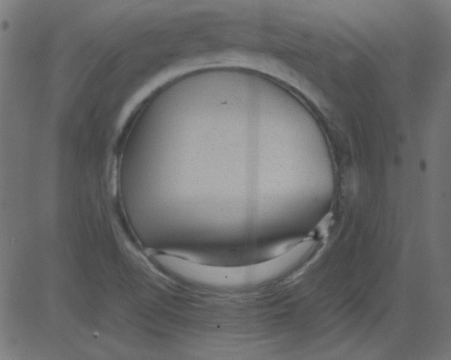 X0000081291510200702012231