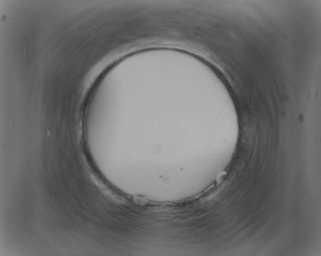 X0000081291511200702012231