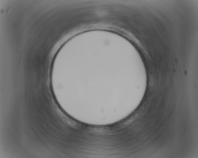 X0000081291512200702012231