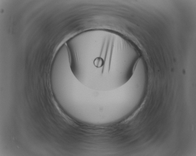 X0000081291513200702012231