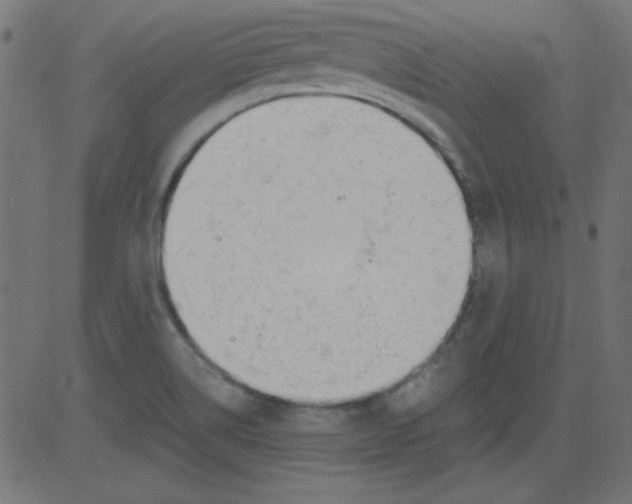 X0000081291514200702012231