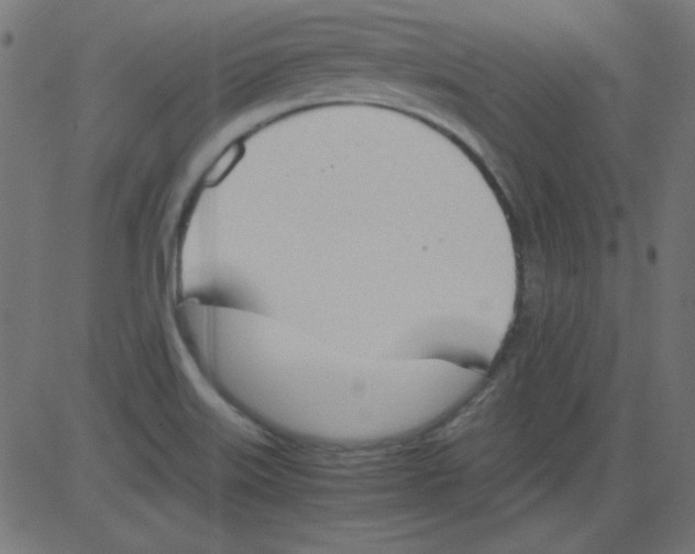 X0000081291515200702012231