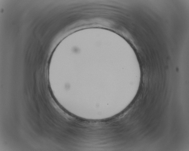 X0000081291516200702012231