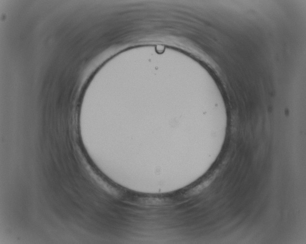 X0000081291517200702012231