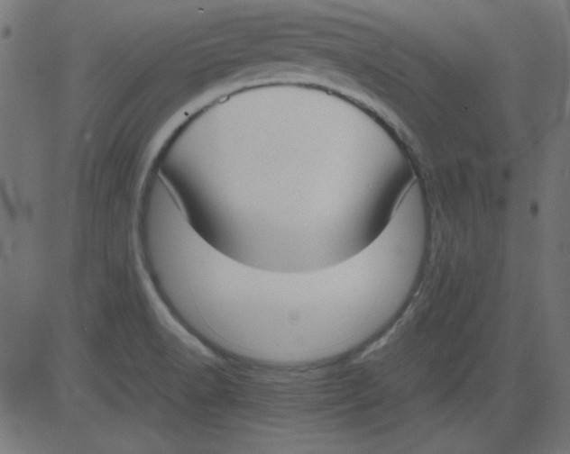 X0000081291518200702012231