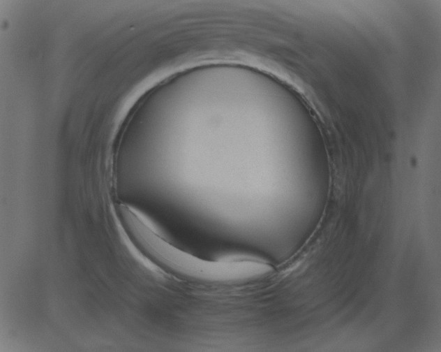 X0000081291519200702012231