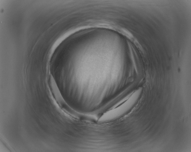 X0000081291520200702012231