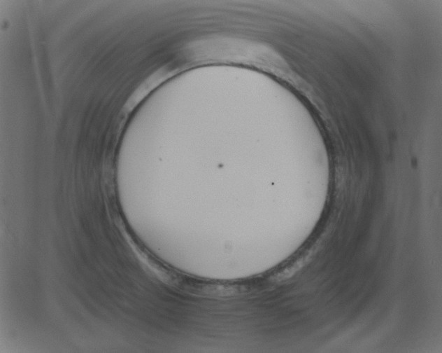 X0000081291521200702012231