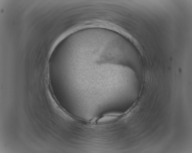 X0000081291522200702012231