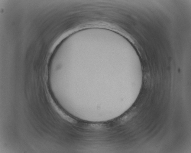 X0000081291523200702012231