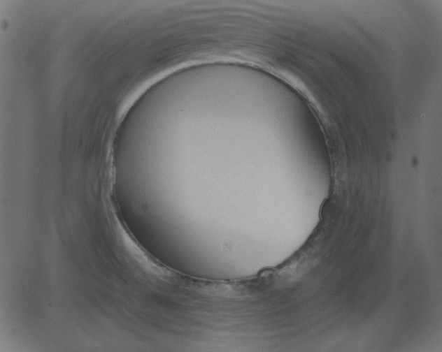 X0000081291524200702012231