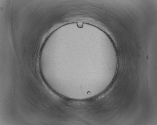 X0000081291525200702012231